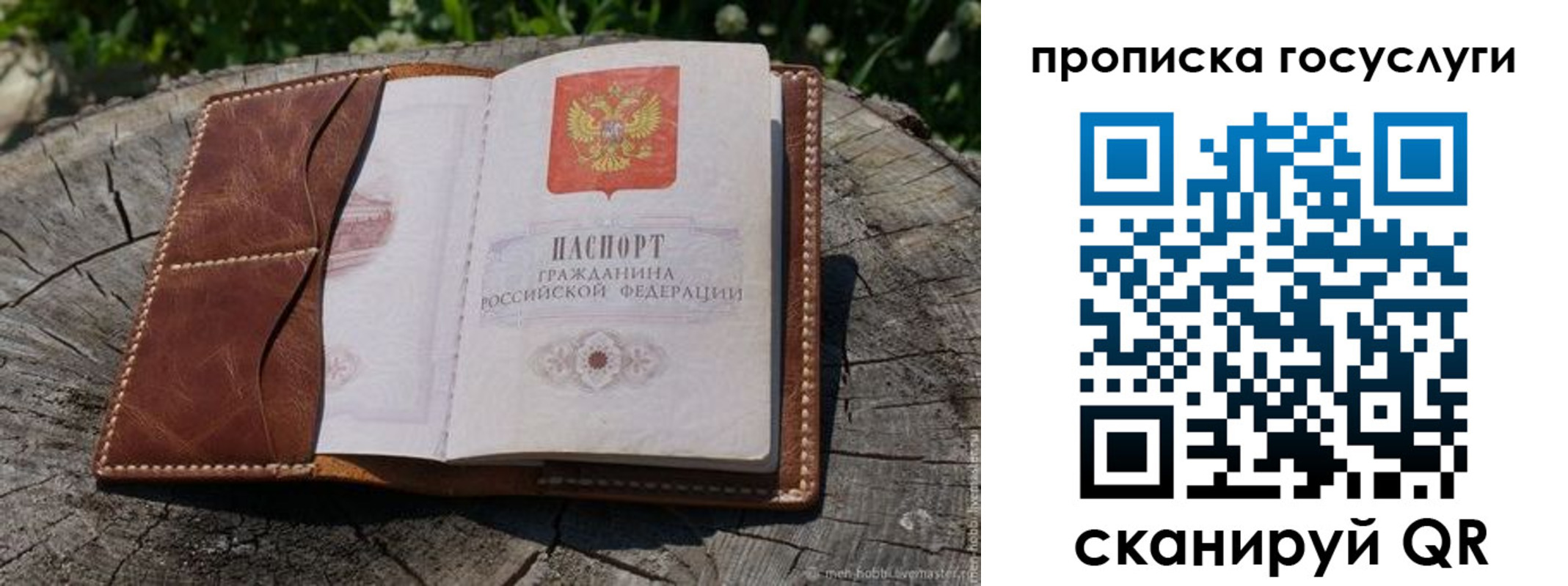 прописка для школы в Красноармейске